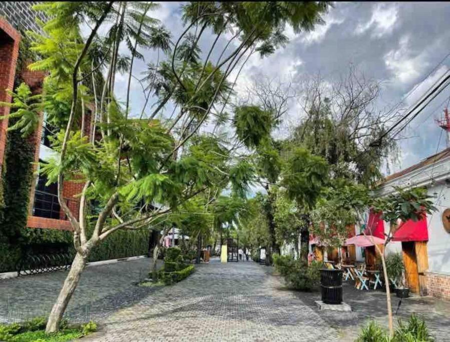 Makachi Hotel Guatemala City Exterior photo